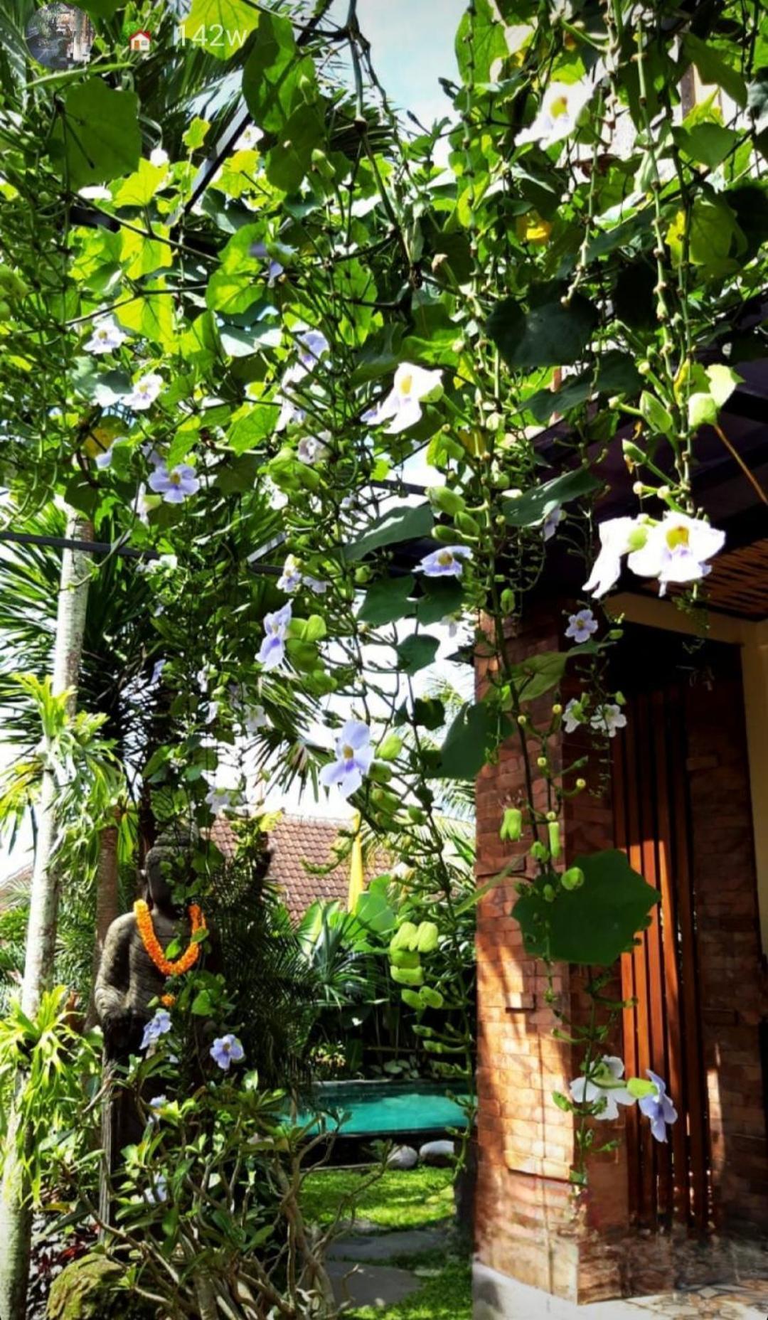 Buda Amitaba Ubud  Exterior photo