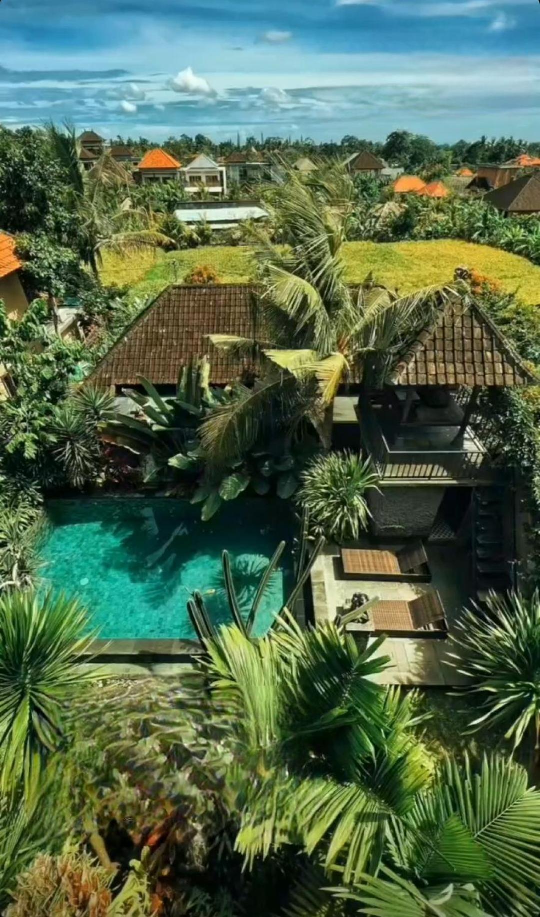 Buda Amitaba Ubud  Exterior photo